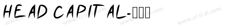 HEAD CAPITAL字体转换